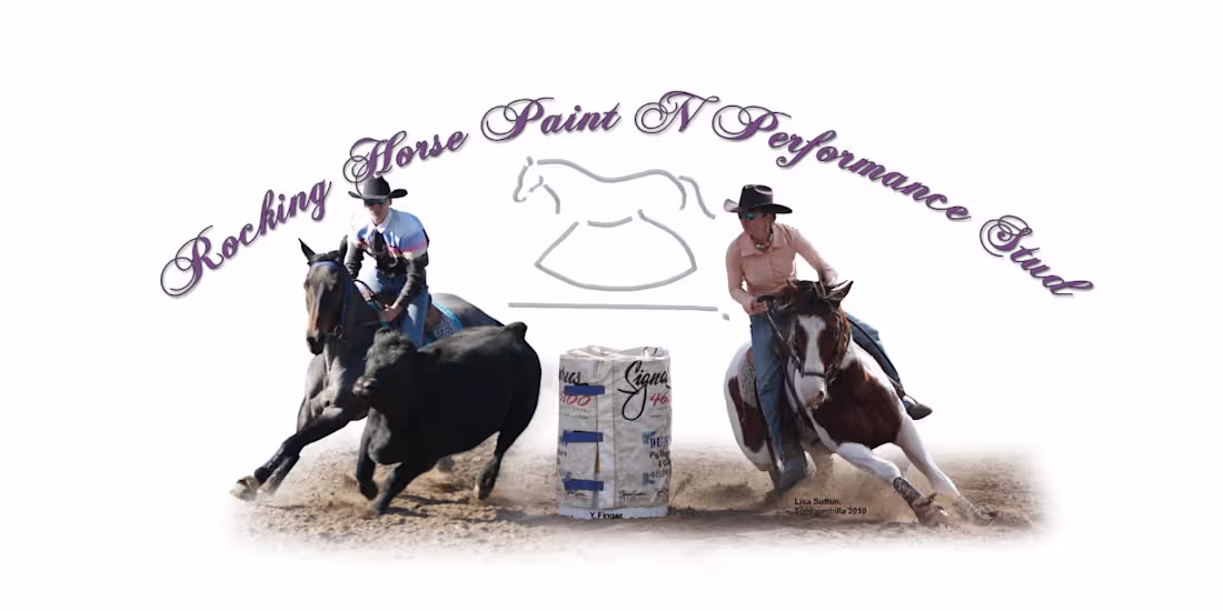 Cover image for Equine Clinician | Horsemanship with Lisa Sutton