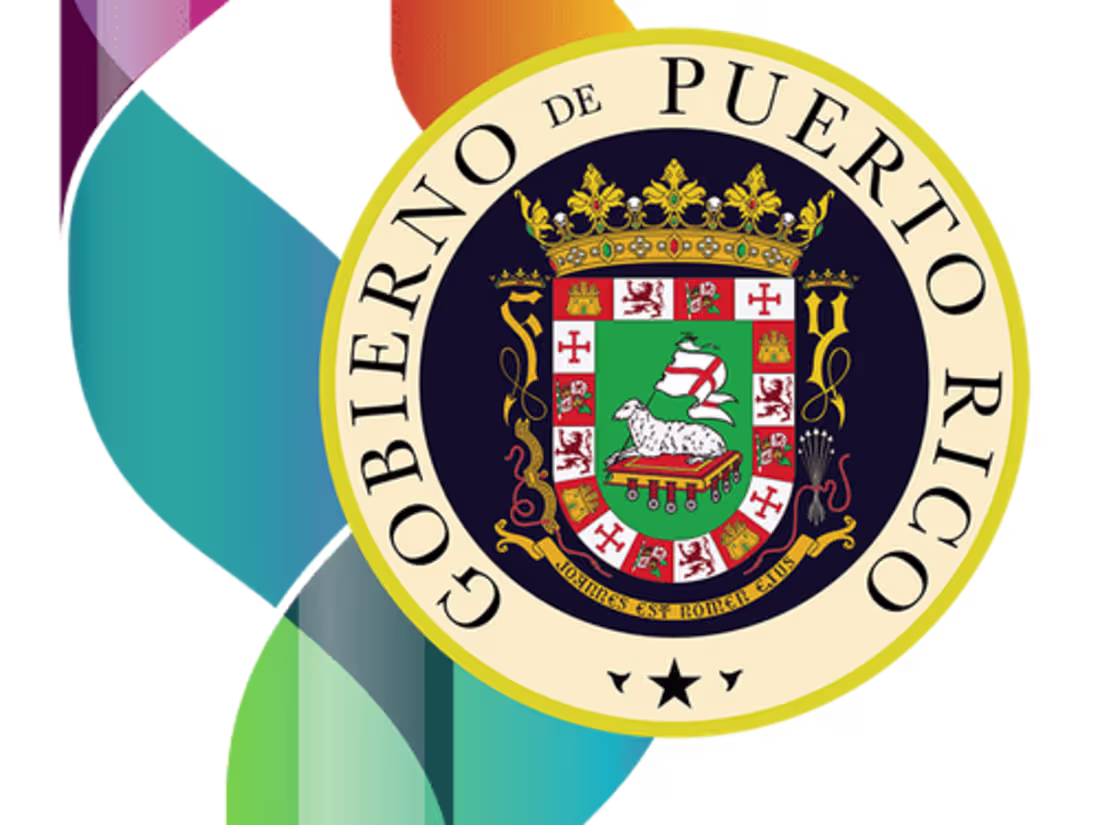 Cover image for Departamento de Seguridad Pública | DSP