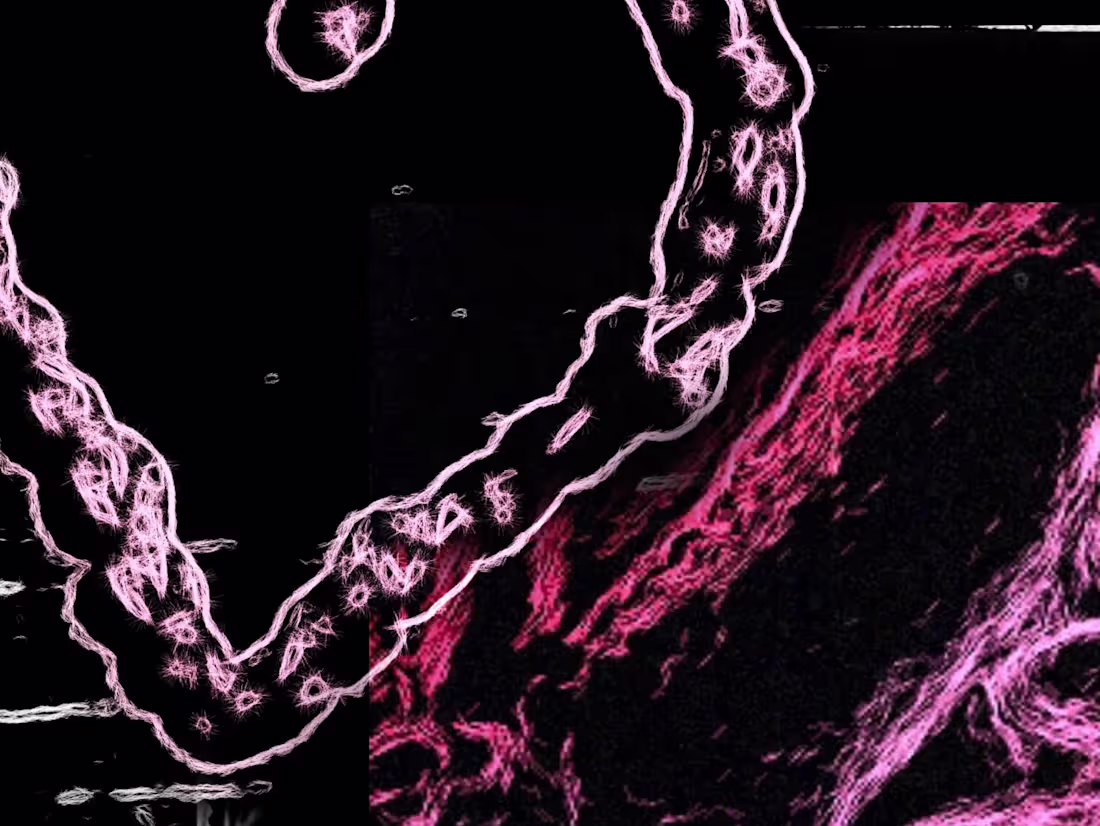 Cover image for +//- project