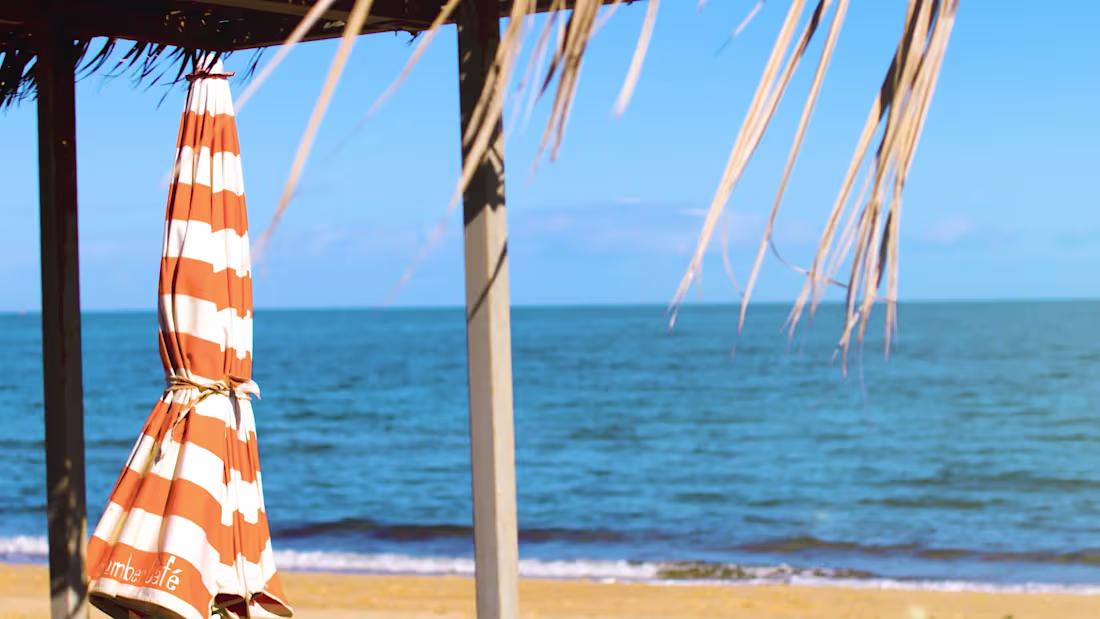 Cover image for Yotpo - Bangn’ Body Loyalty Program