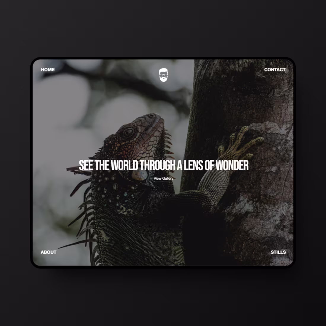 Cover image for Branding & Site Design for Photography Studio