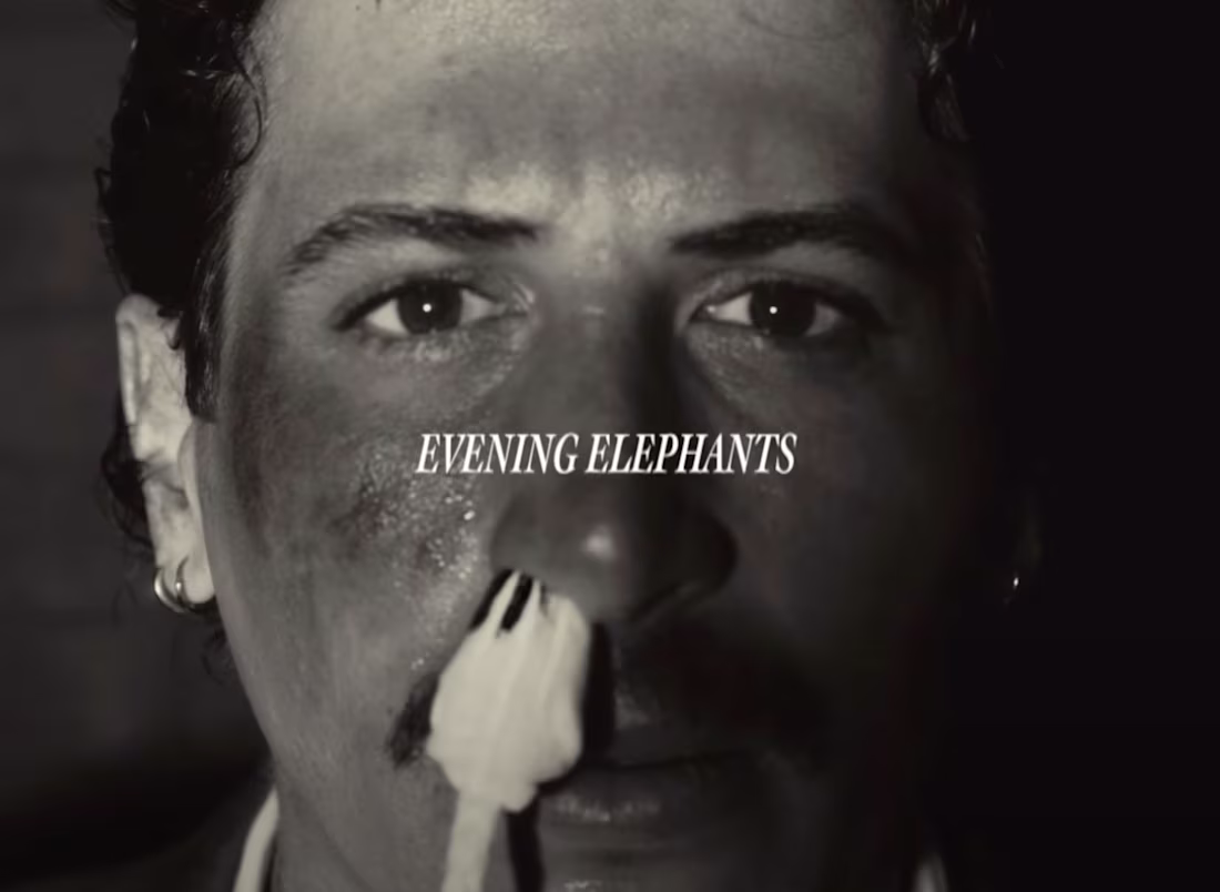 Cover image for One of my most recent (and favorite) projects. For this one,...