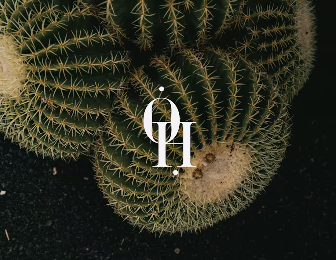 Cover image for Our Home - Custom Branding & Showit Website