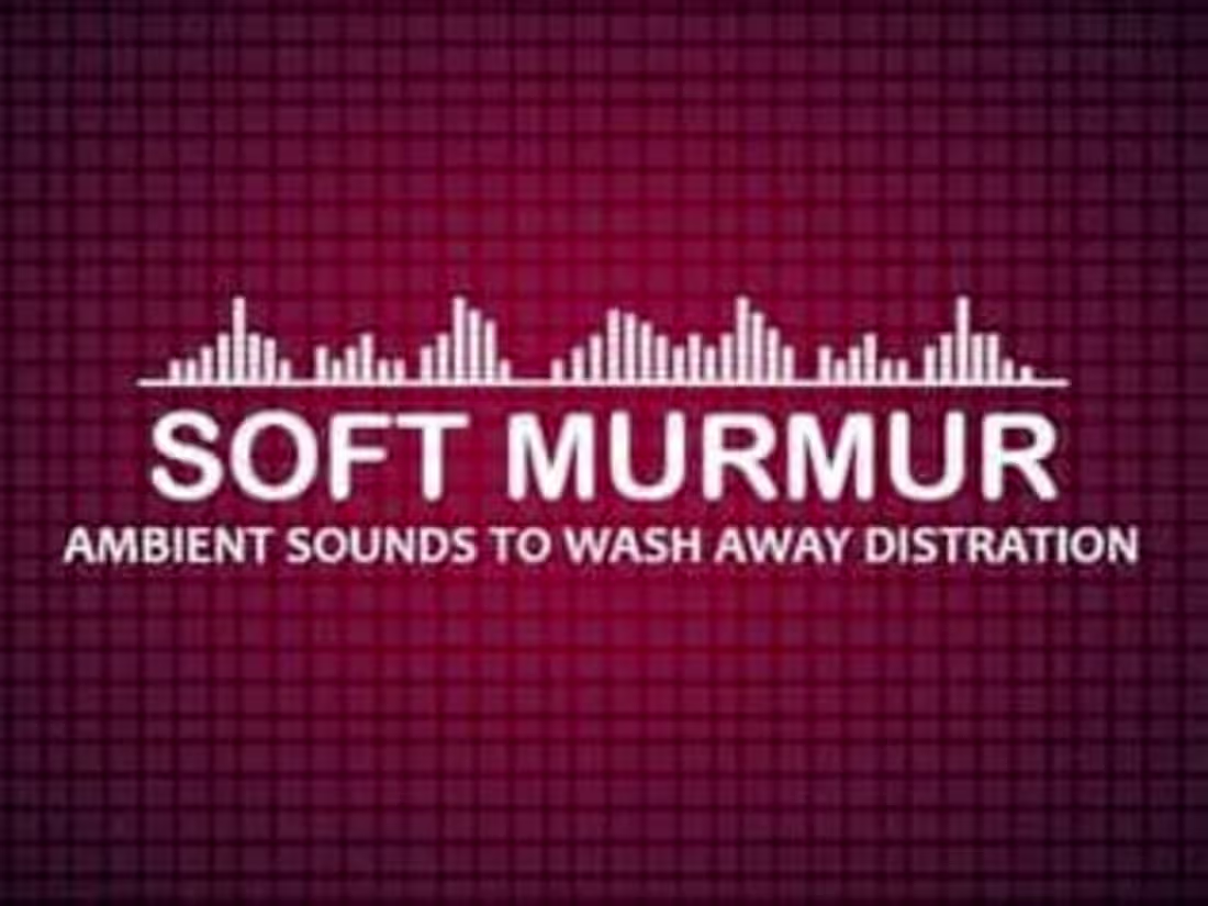 Cover image for A Soft Murmur