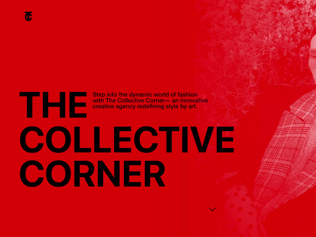 Cover image for Web Design — Collective Corner