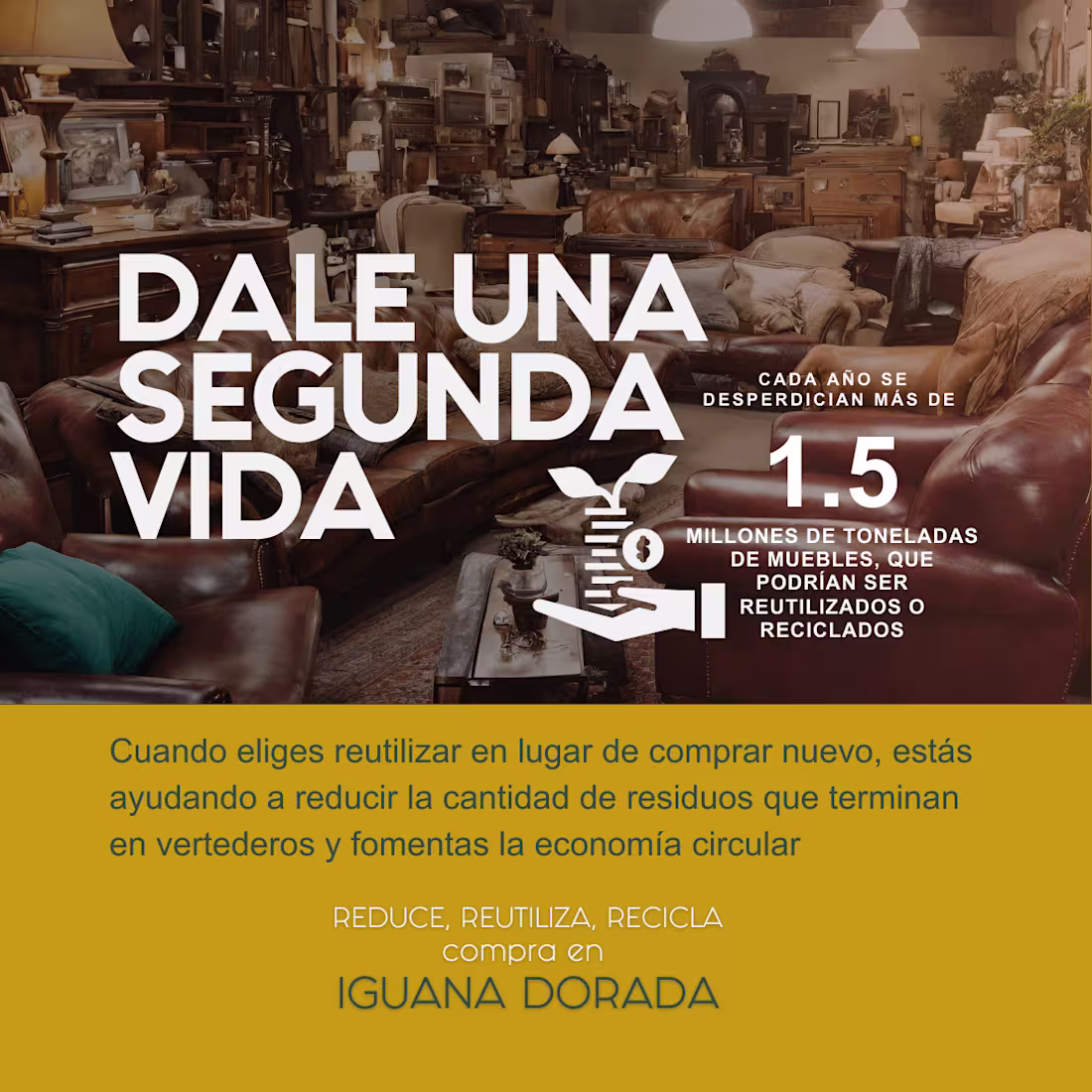Cover image for Iguana Dorada