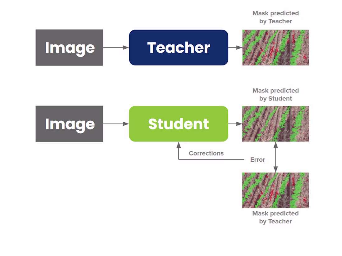 Cover image for Knowledge Distillation for Crop/Weed Image Segmentation (2022)