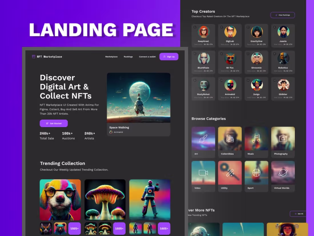 Cover image for Design Smarter Build Stunning Websites with Framer.