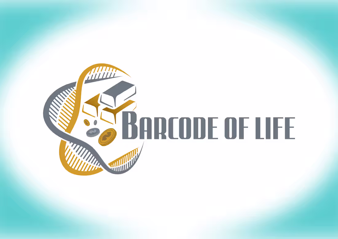 Cover image for Branding and Logo Design Project 