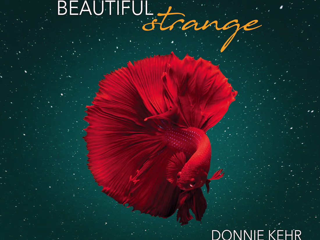 Cover image for katherine lucas