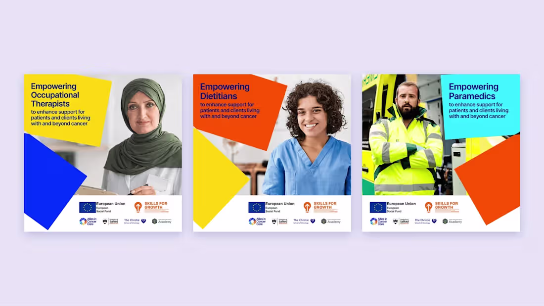 Cover image for Allies in Cancer Care