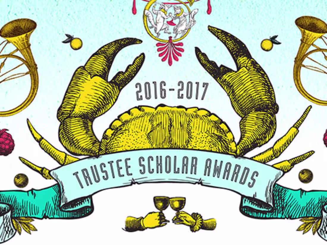 Cover image for Full Steam: Trustee Scholar Awards on Behance