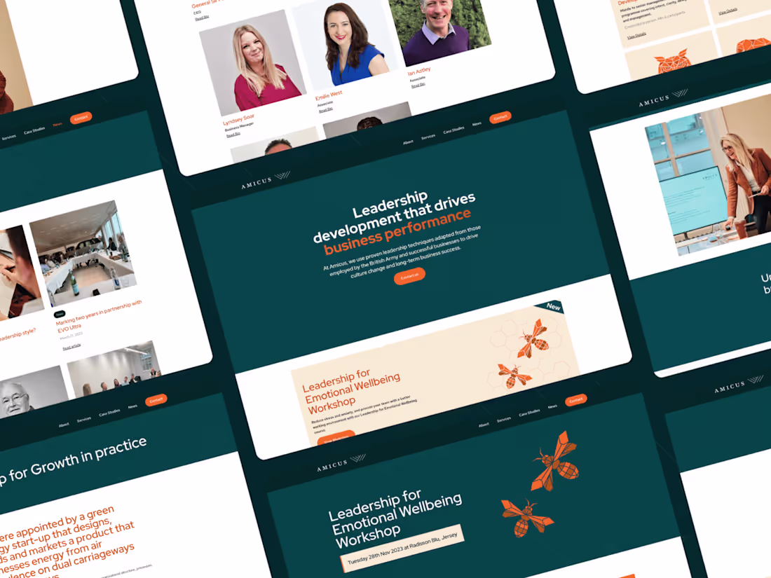 Cover image for All-in-one Webflow Package