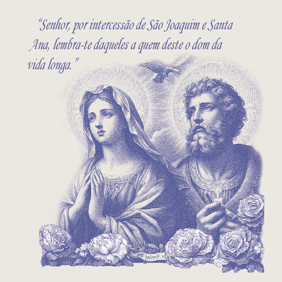 Cover image for Lar São Vicente de Paulo