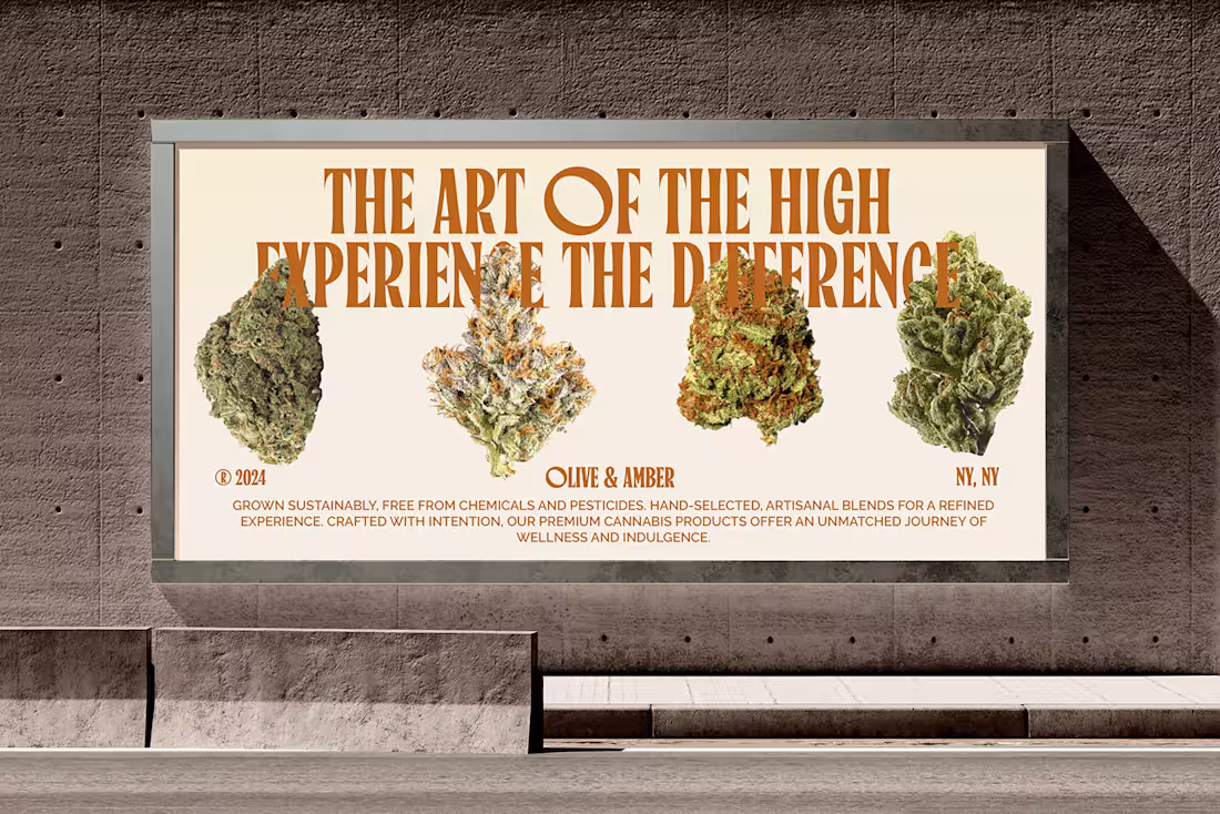 Cover image for Olive & Amber