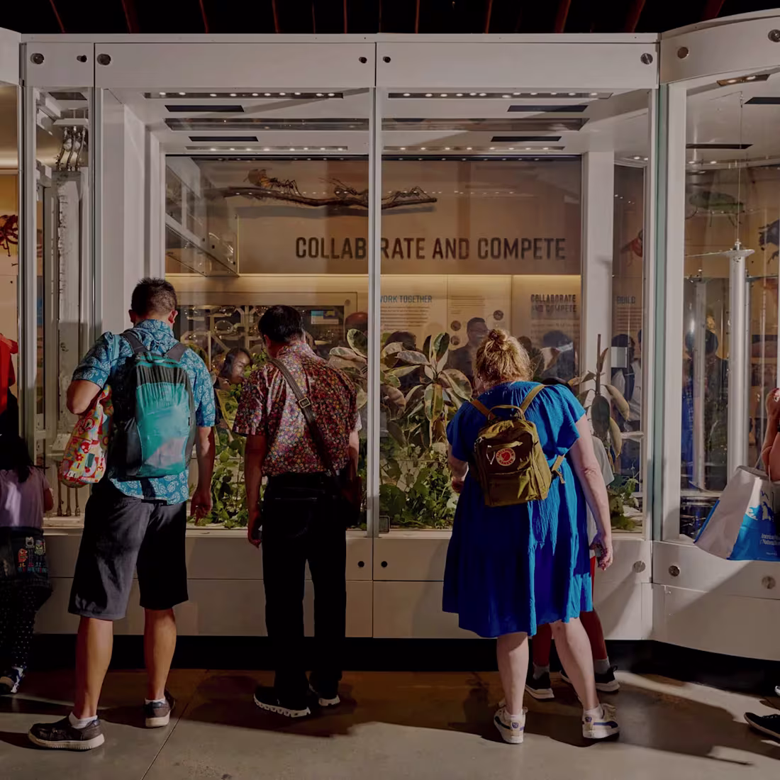 Cover image for Gilder Center