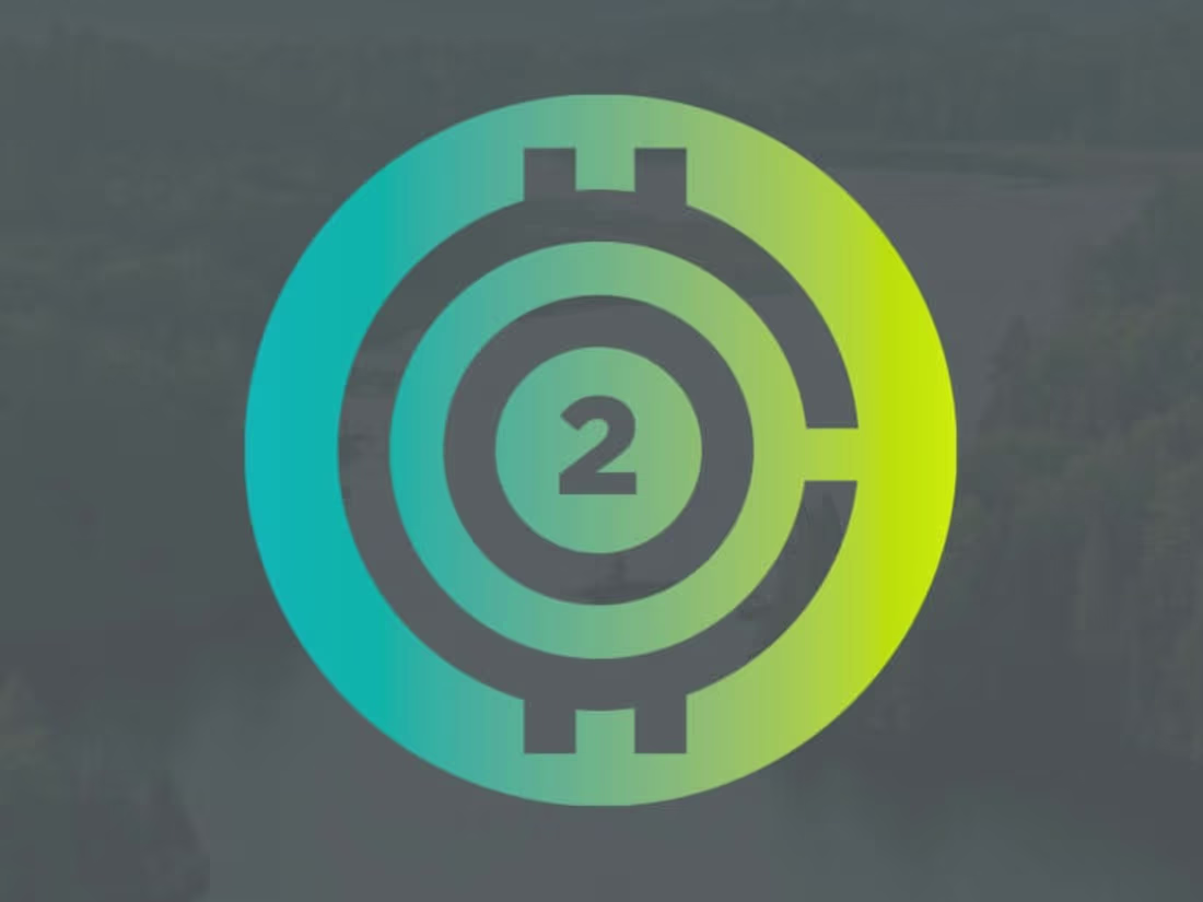 Cover image for CarbonKerma Brand Identity