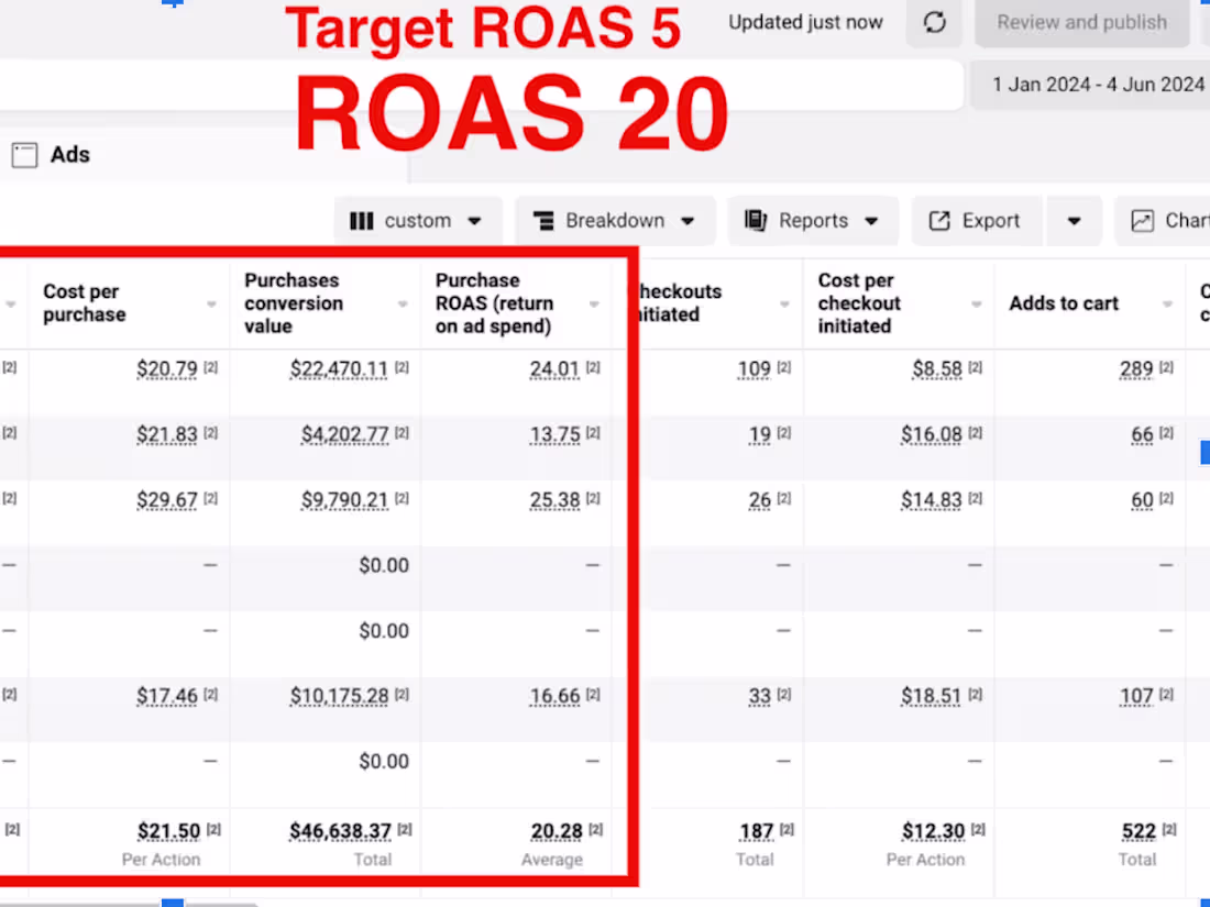Cover image for Proven 20+ ROAS in 2024: Your Go-To eCommerce Strategist