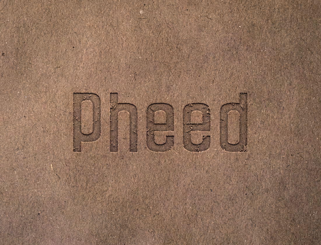 Cover image for PHEED Nutritional Capsules • Brand Design