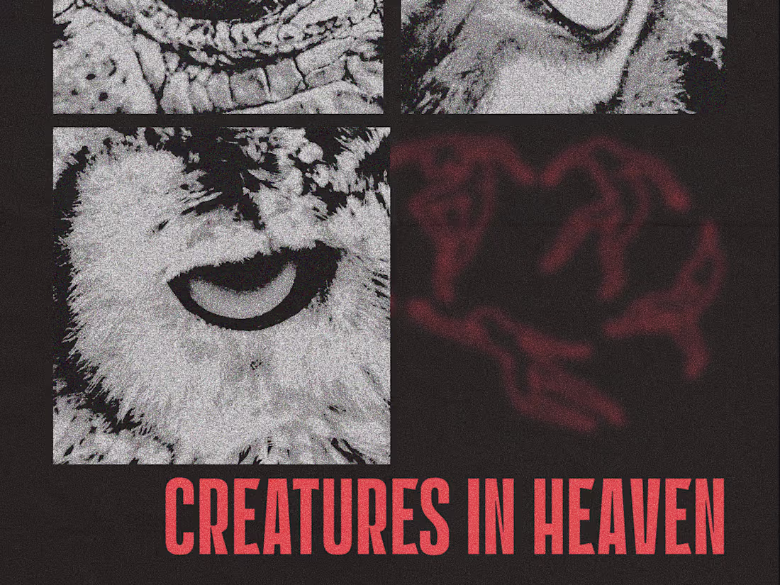 Cover image for Spunky Poster Design