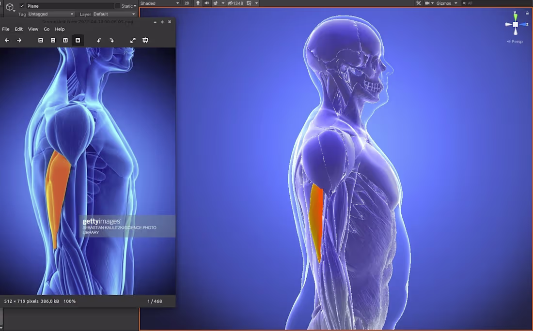 Cover image for This project showcases a dynamic 3D human anatomy model opti...