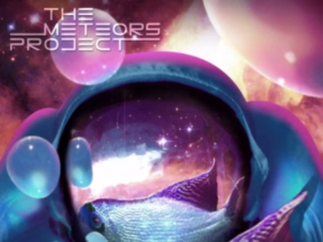 Cover image for Swimming with Astronauts 