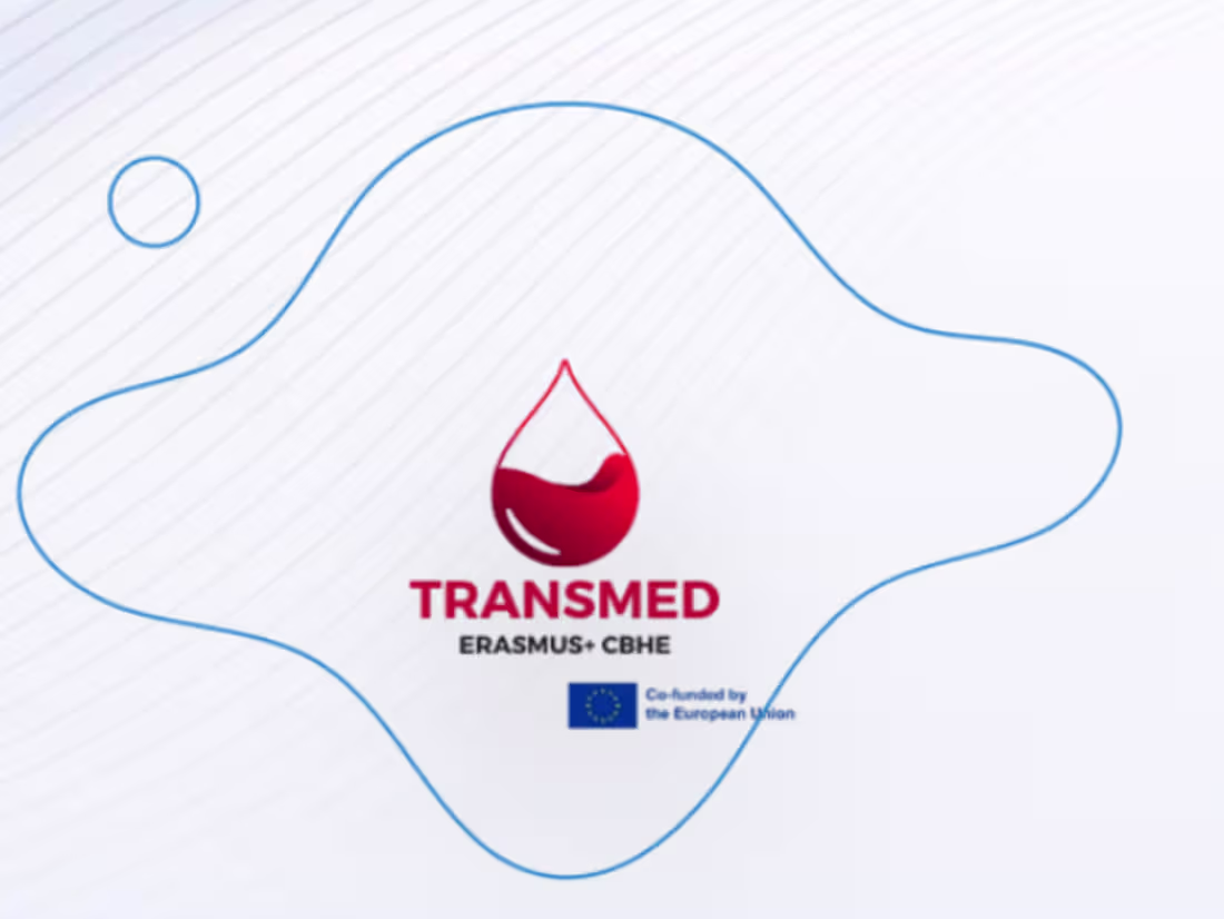 Cover image for TransMedasia