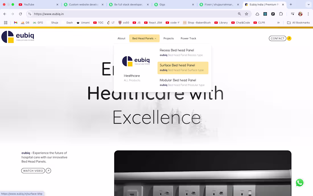 Cover image for Eubiq India Website
