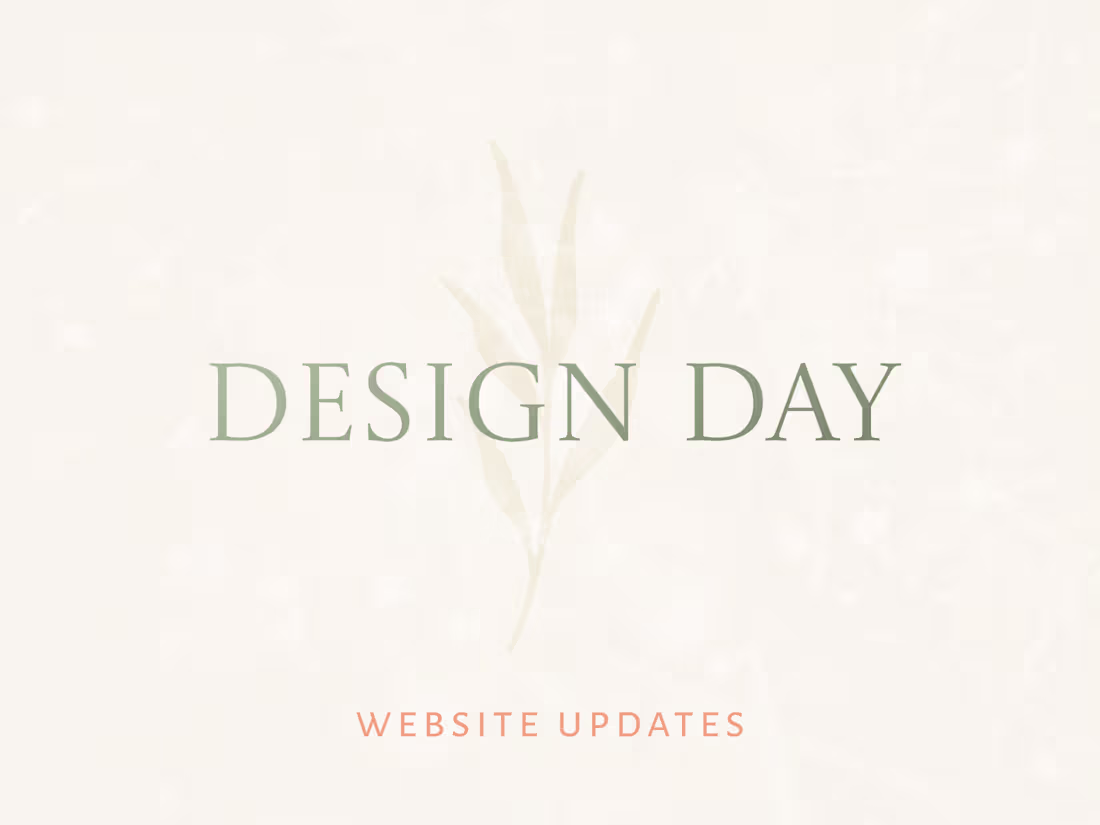 Cover image for Dedicated day to update and refine your site