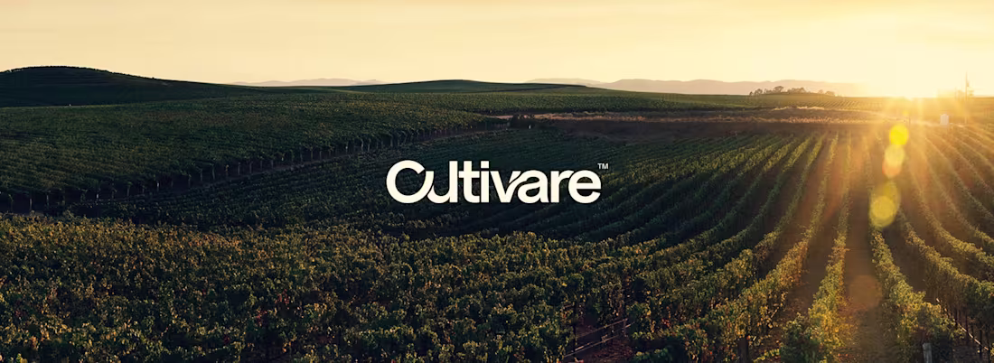 Cover image for Identidade Visual feita para a