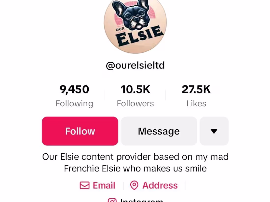 Cover image for TikTok - Make Your Day