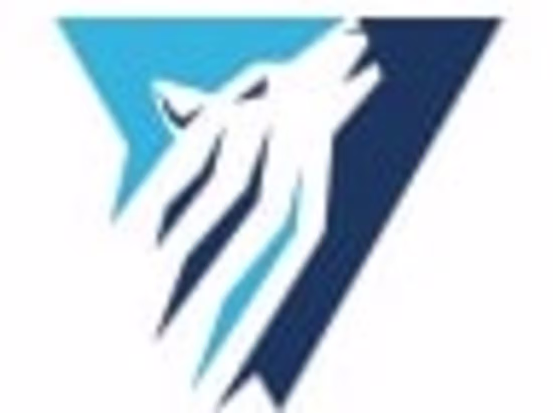 Cover image for Vertexo Sports - Apps on Google Play