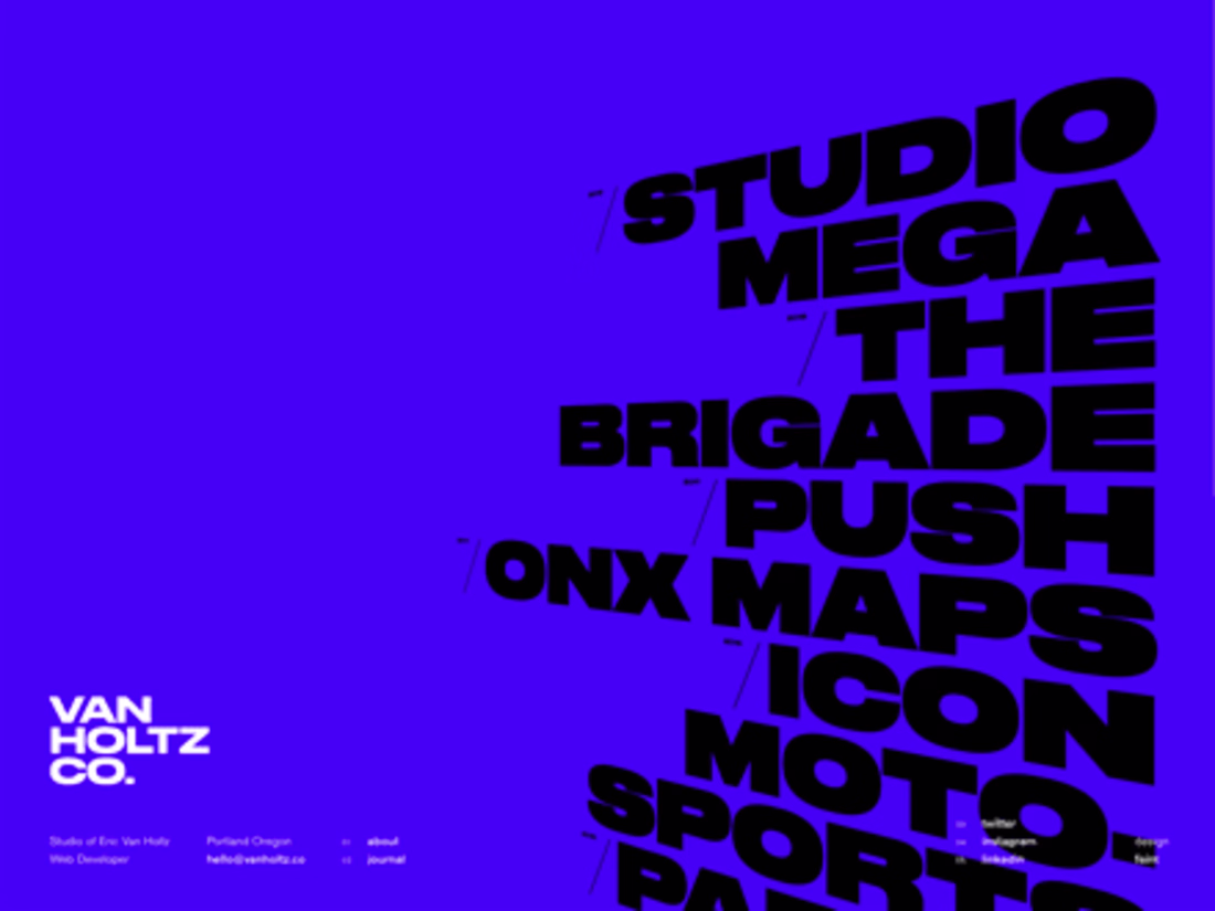 Cover image for Van Holtz Co