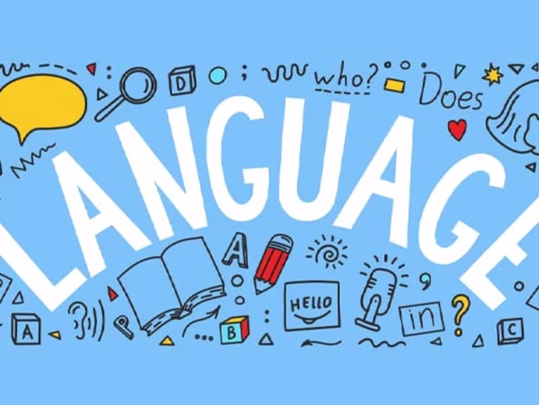 Cover image for LANGUAGE SKILLS