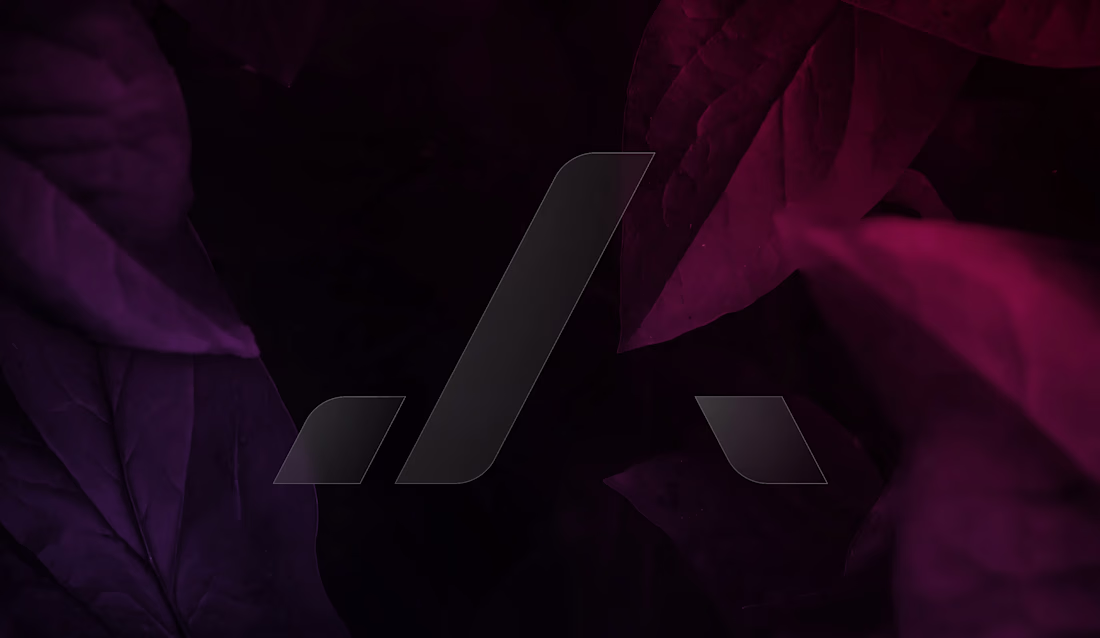 Cover image for Jumoke Adeyemi - Brand Identity