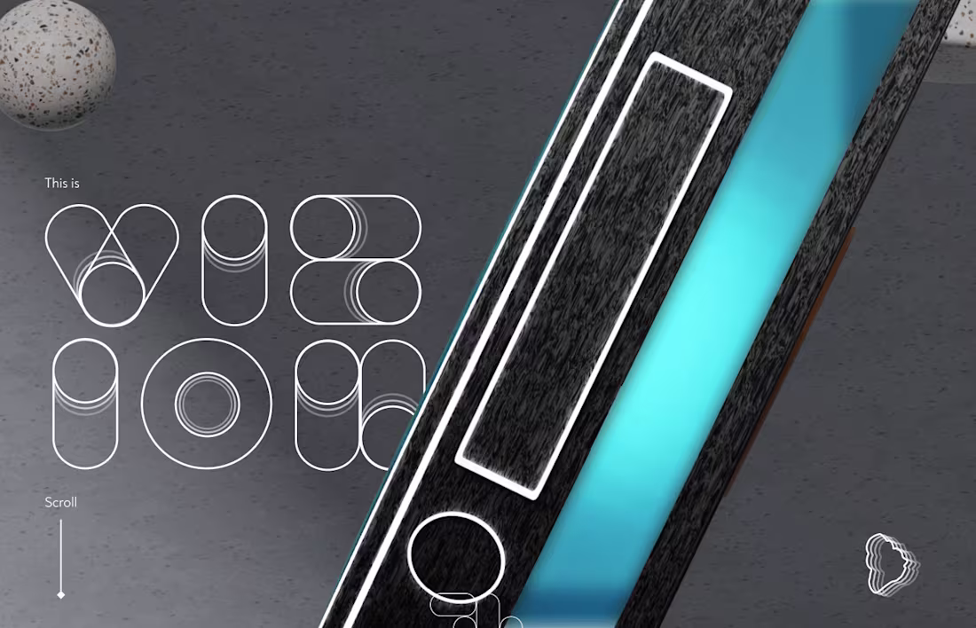 Cover image for Vision