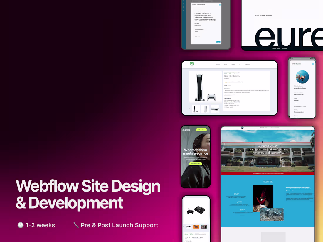 Cover image for Webflow Site Design and Development