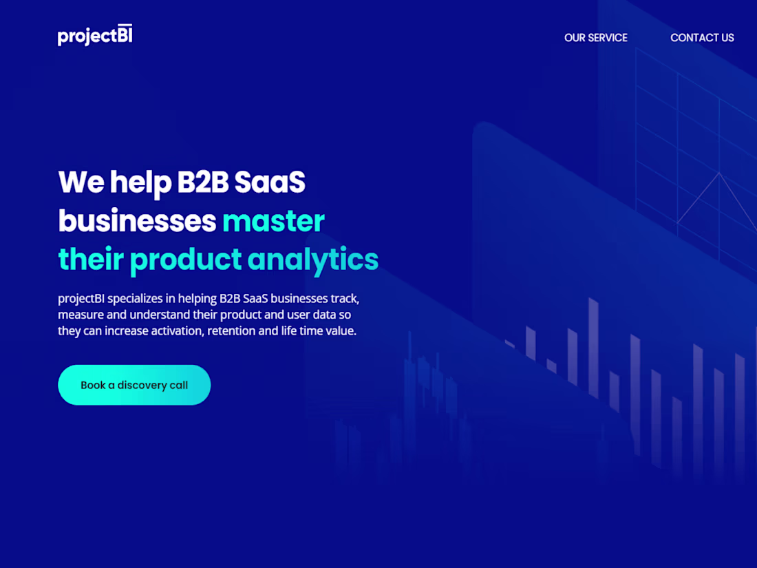 Cover image for Project BI