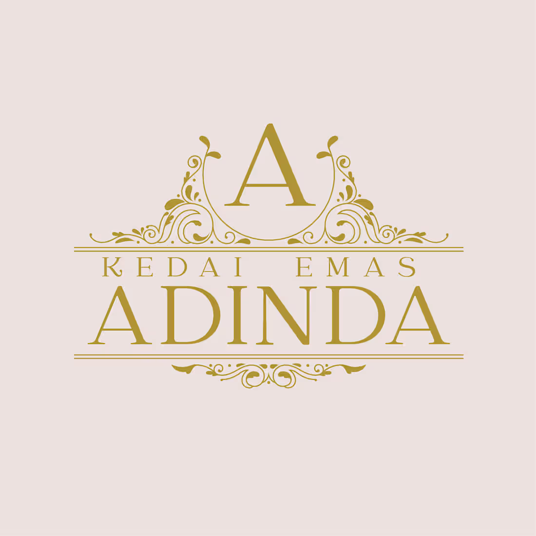 Cover image for ADINDA logo