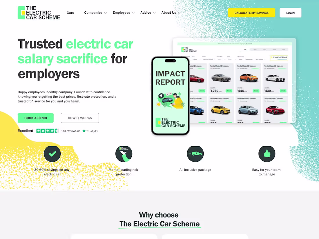 Cover image for The Electric Car Scheme