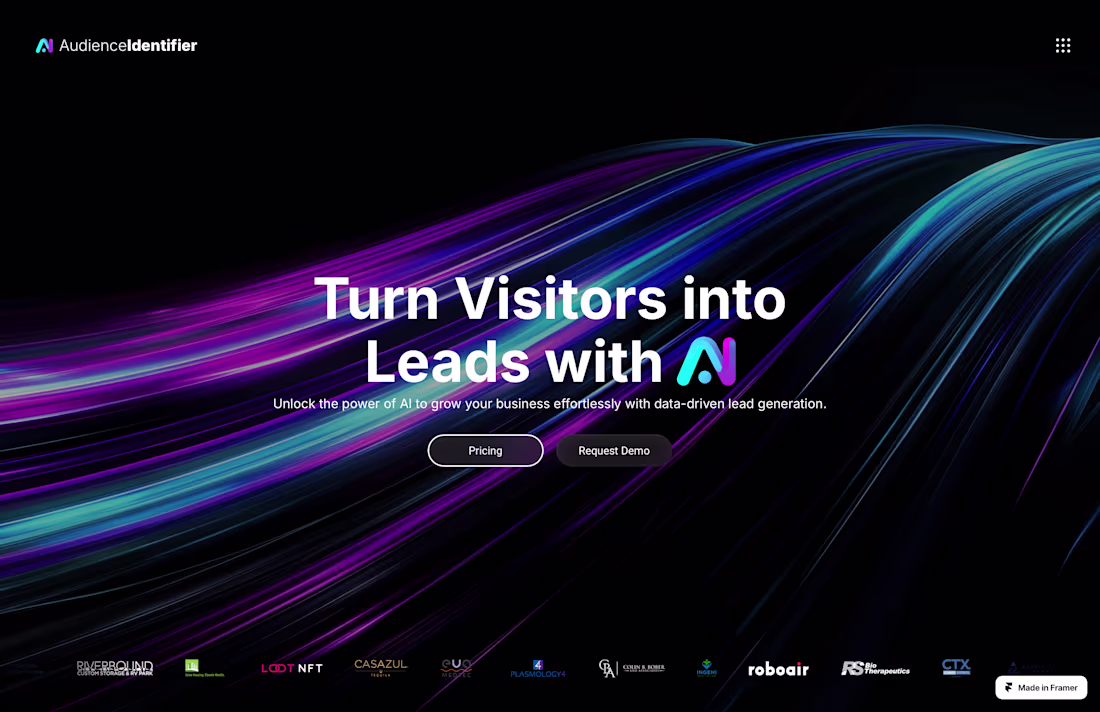 Cover image for Audience Identifier