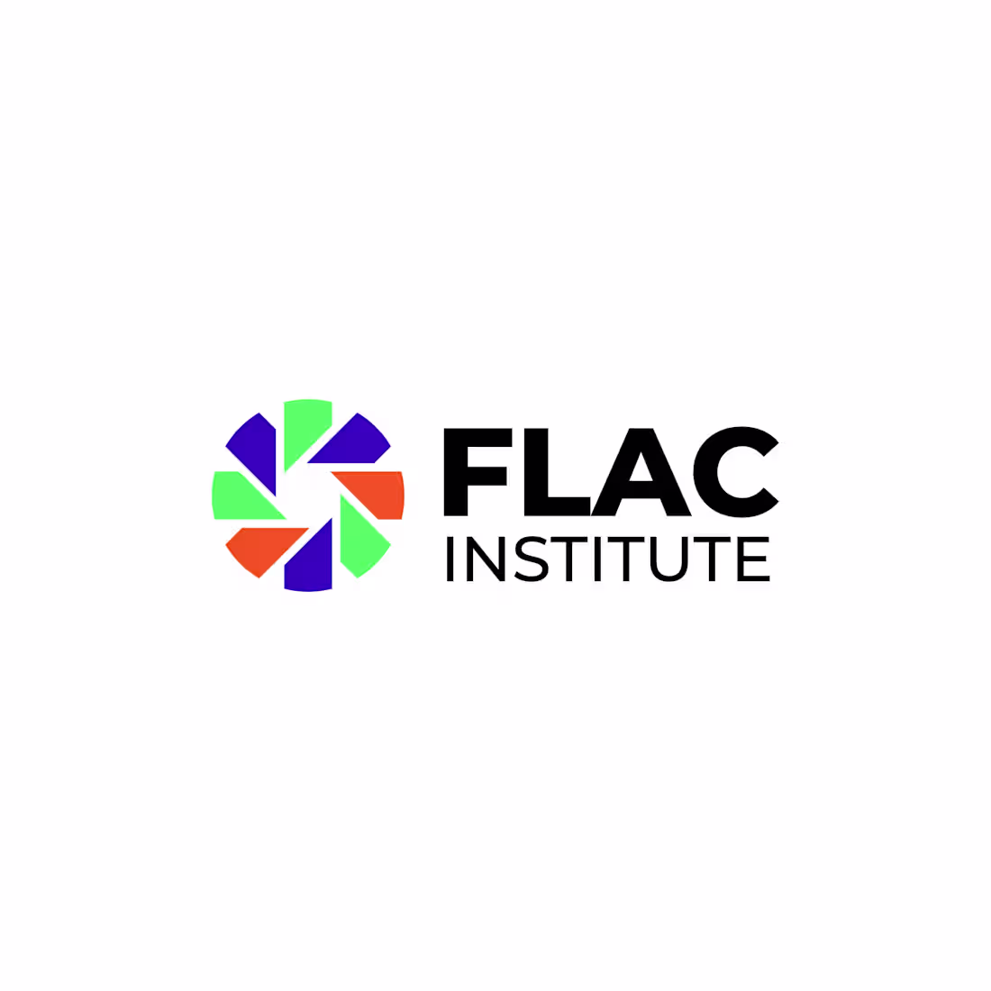 Cover image for FLAC INSTITUTE