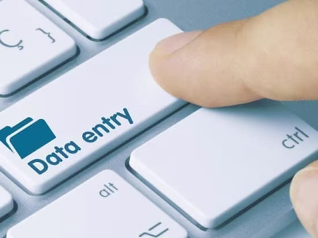 Cover image for Data Entry