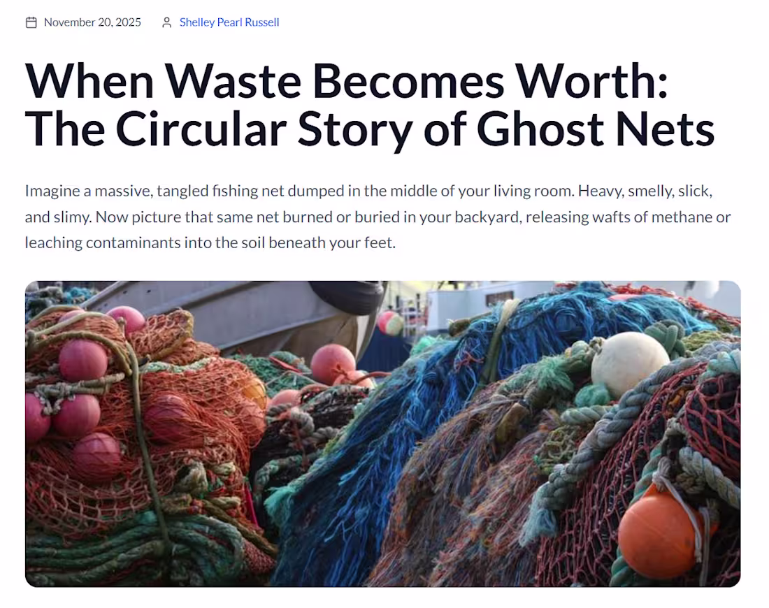 Cover image for This is a story I