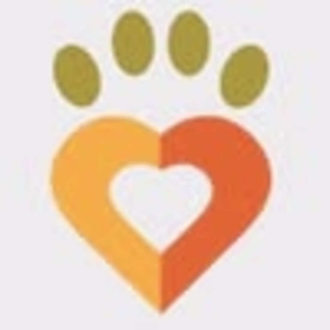 Cover image for Dharamsala Animal Rescue 