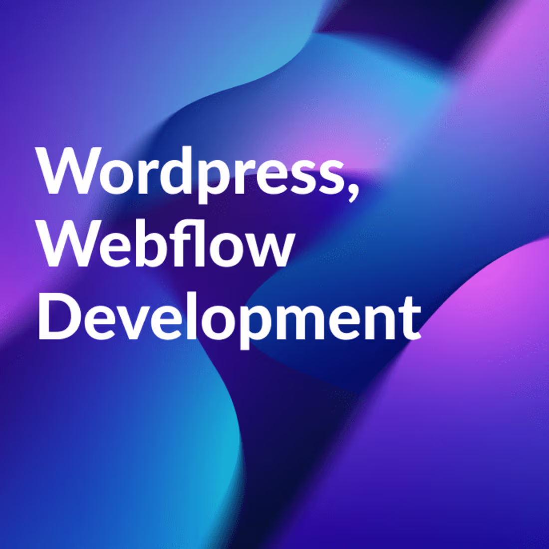 Cover image for 👨‍💻 Webflow, Wordpress, Website Development