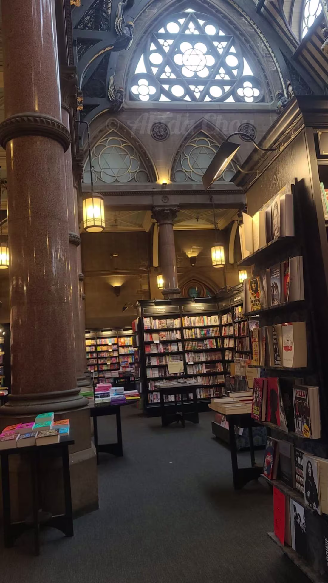 Cover image for An excerpt of my writing and book launch! 