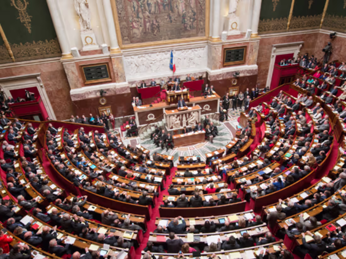 Cover image for Parliamentary Assistant