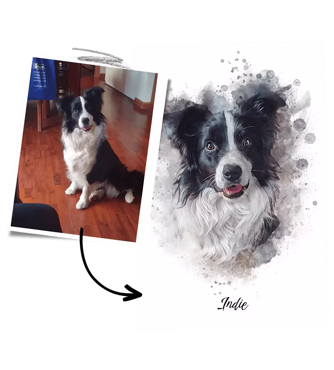 Cover image for How Poster & Paw Became Australia’s Top Pet Portrait Ecommerce