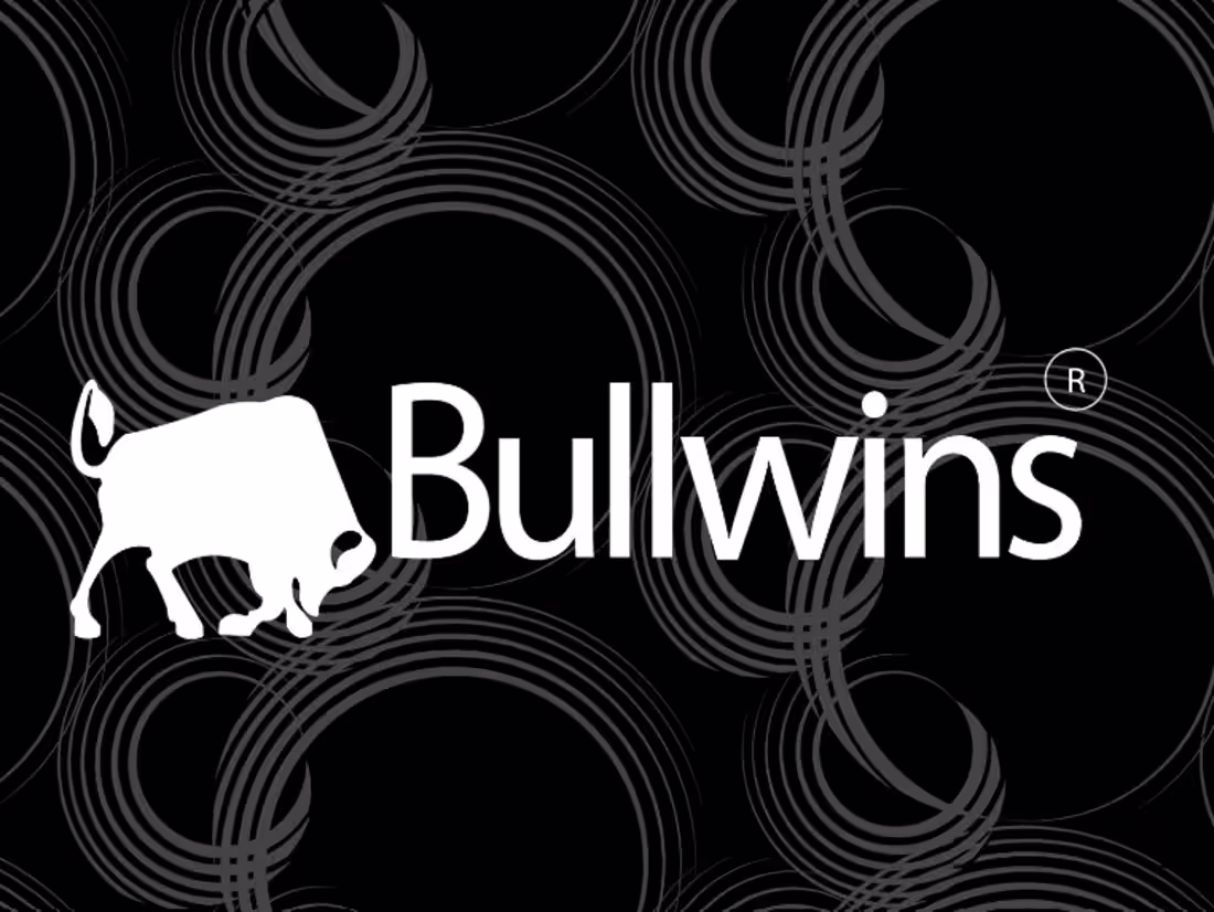 Cover image for Bullwins
